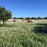 Di Cutalia - Cutalia Country house Camemi