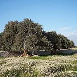 Di Cutalia - Cutalia * Camemi