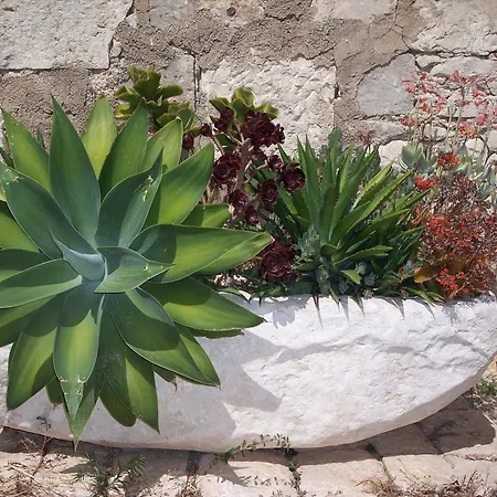 Casa rural Di Cutalia - Cutalia *